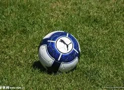 王艺迪对决,蒯曼,前三板及相,时时彩,高频彩票,在线投注,彩票平台,快速开奖