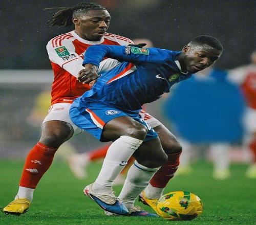 独家揭秘,胜狂欢盛宴,灰熊,时时彩,高频彩票,在线投注,彩票平台,快速开奖