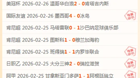 霍芬海姆与海登海姆战成平手1比1