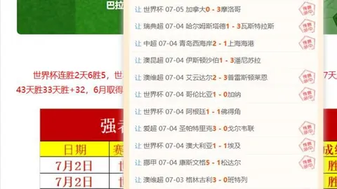 芬超对决高频彩票：土尔库与埃尔维斯，比分揭晓